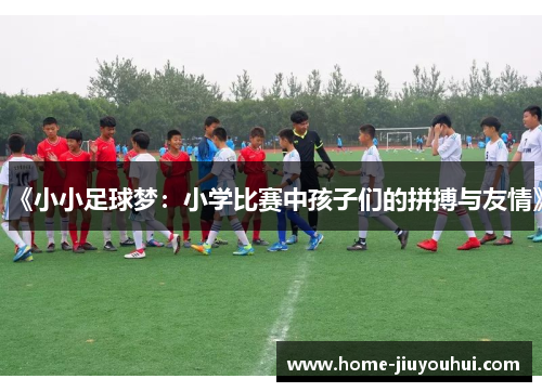 《小小足球梦：小学比赛中孩子们的拼搏与友情》